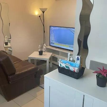 Studio Mansarde Gare De Et Place Liberte Apartment