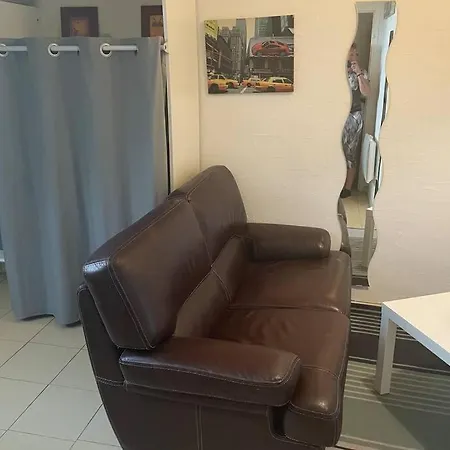 Studio Mansarde Gare De Et Place Liberte Apartment